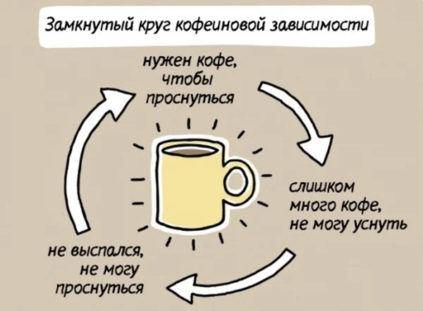 krug-kofejnoj-zavisimosti.webp