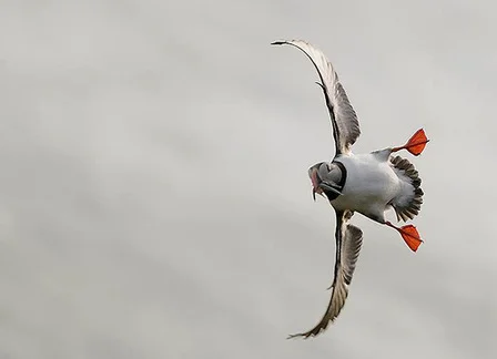 крутой вираж.webp