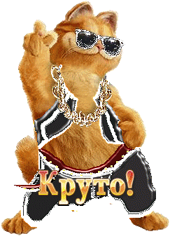 крутышка 1.gif
