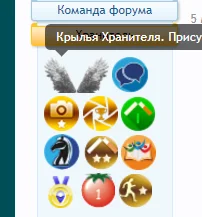 крылья.webp