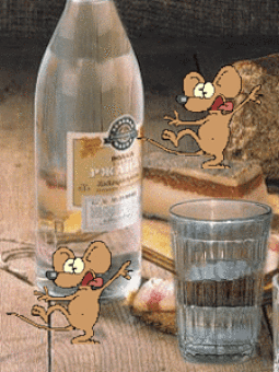 крысья вечеринка.gif