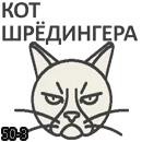 КШ4.webp