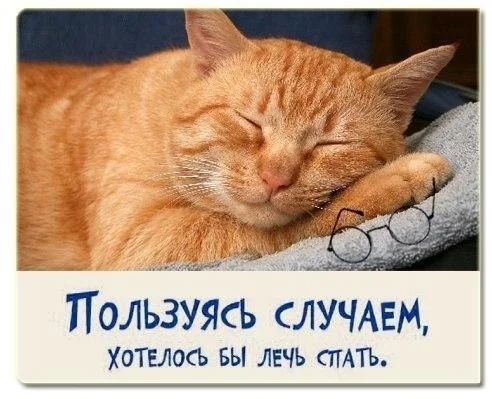 kSOsrBJEfsIспать.webp