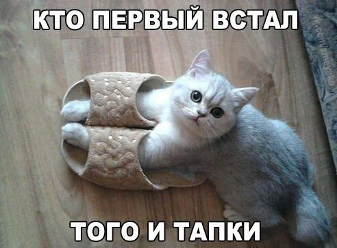kto-pervyj-vstal-togo-i-tapki-21-10-2015-open.webp
