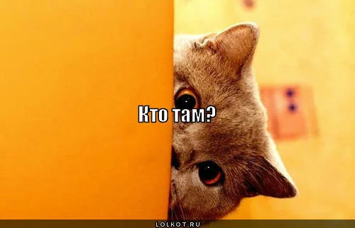 kto-tam_1426598450.webp