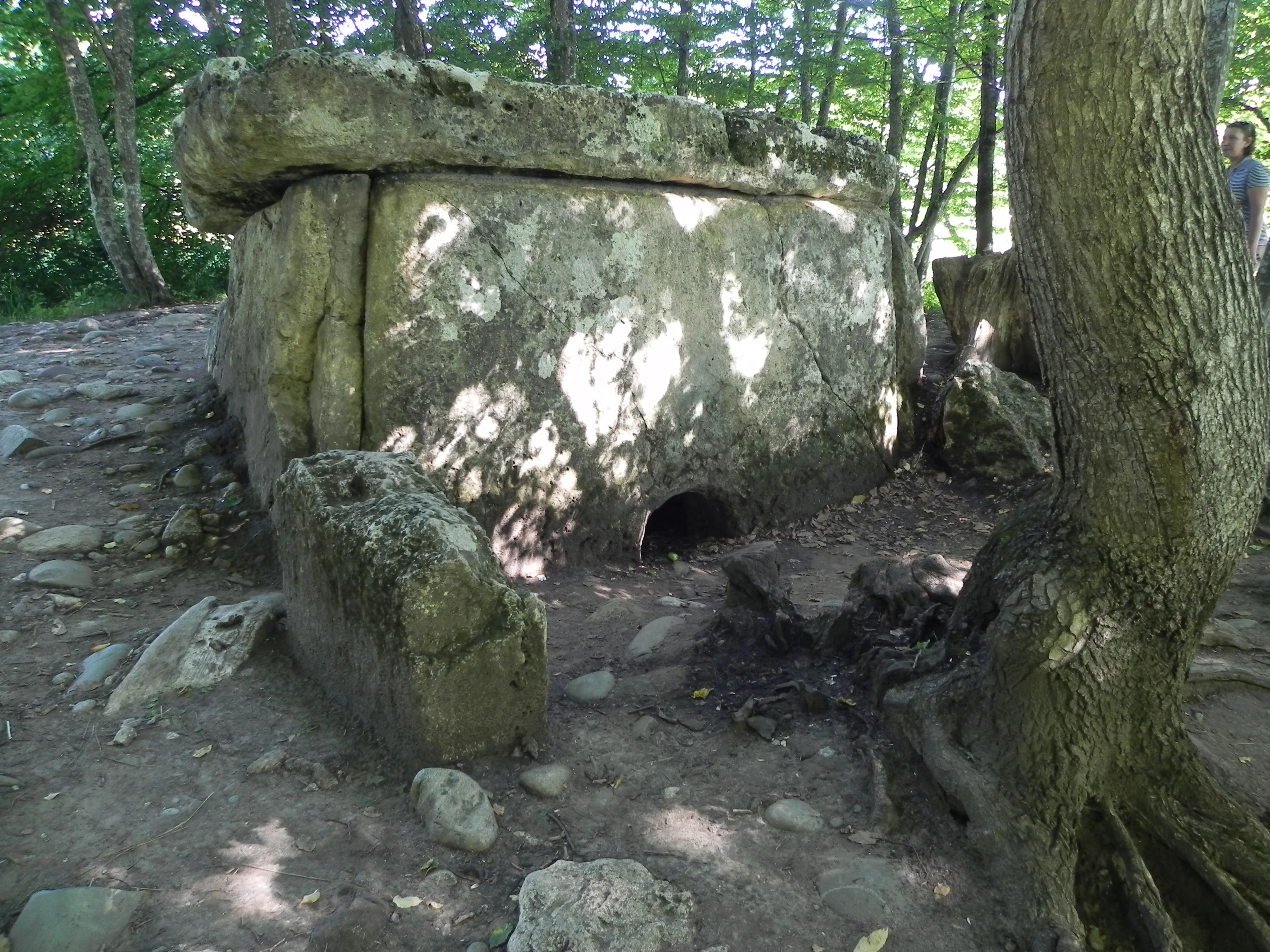 Кубань 2012 логонаки 028.webp