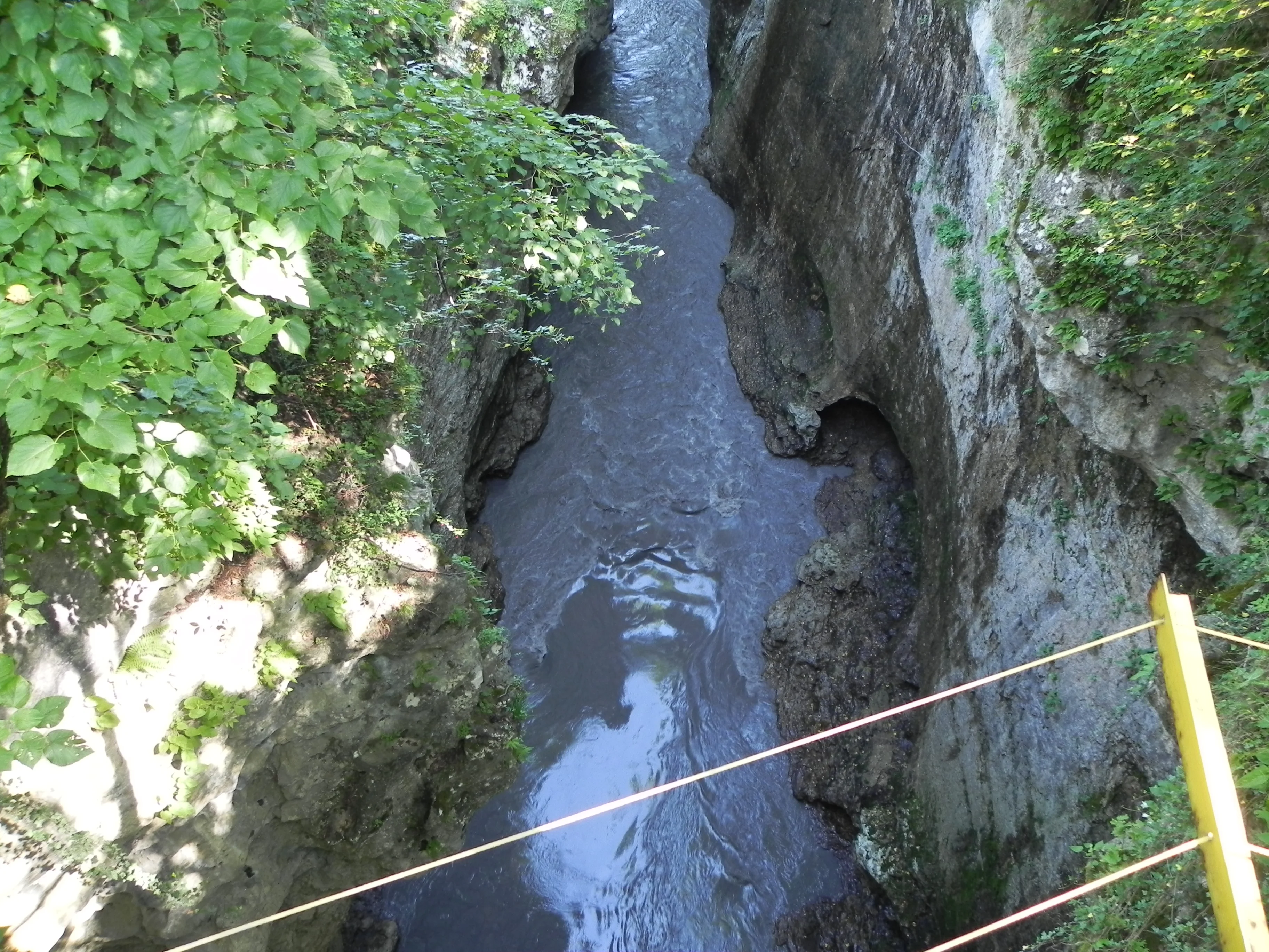 Кубань 2012 логонаки 066.webp