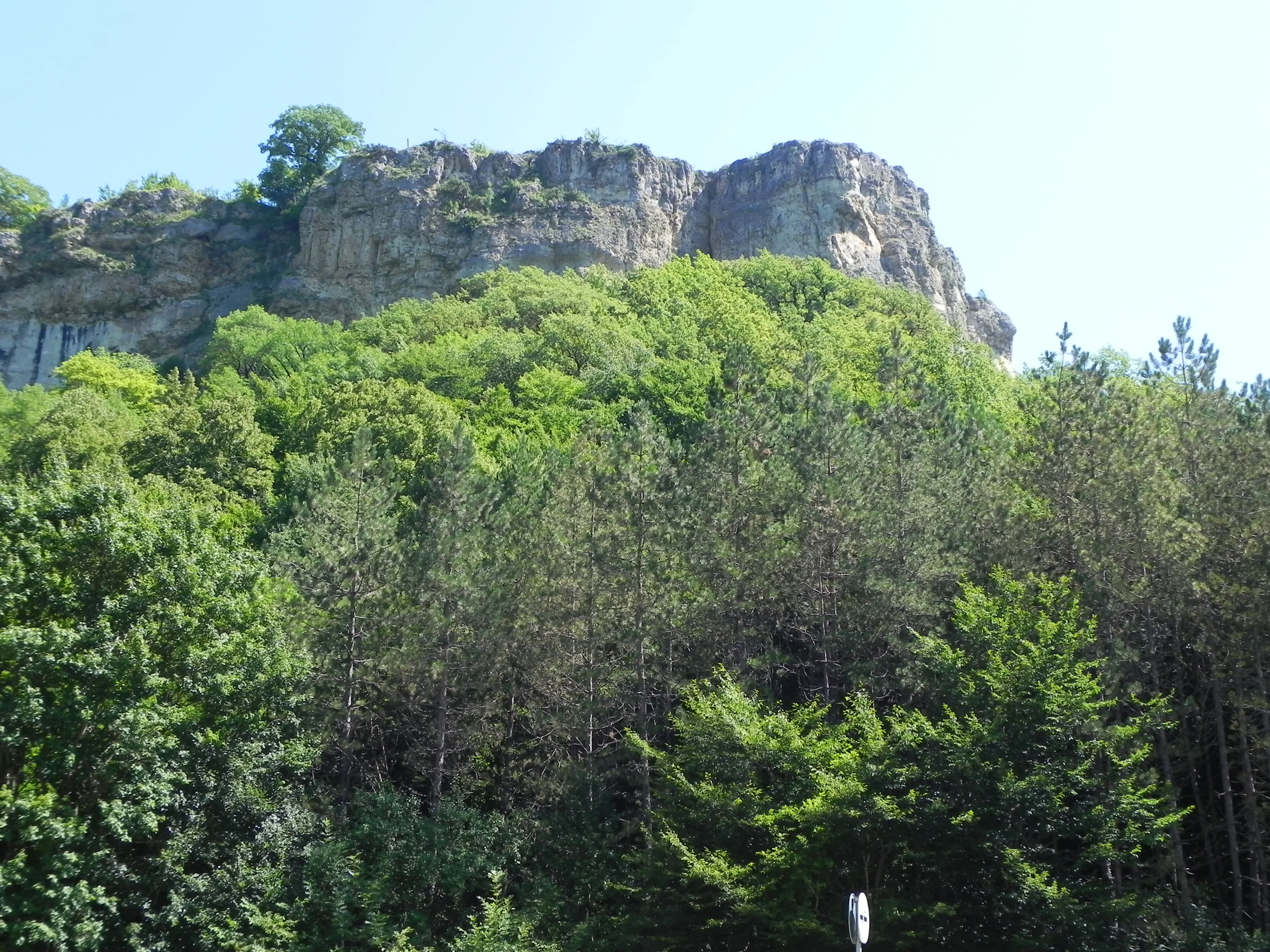 Кубань 2012 логонаки 209.webp