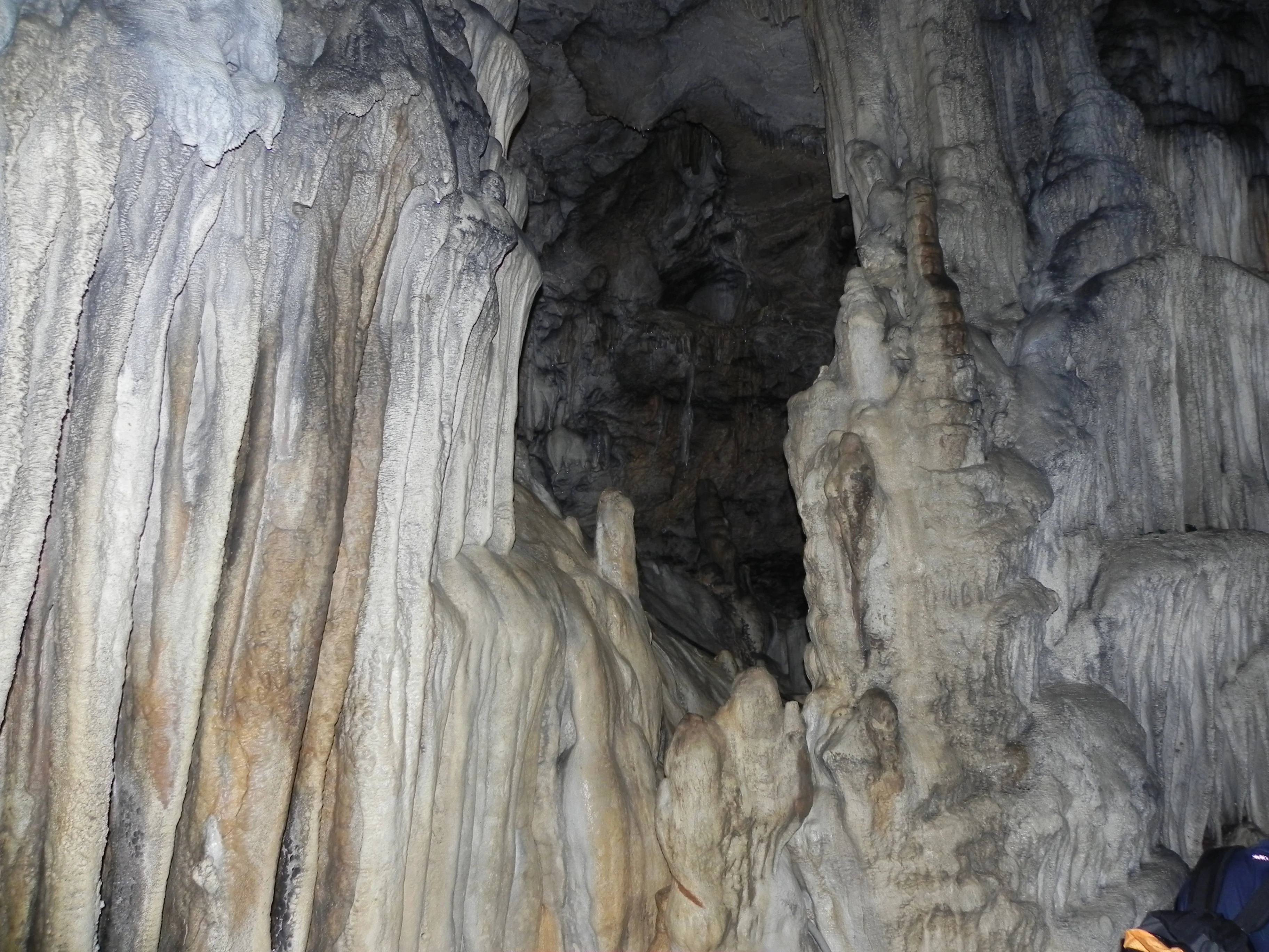 Кубань 2012 логонаки 248.webp