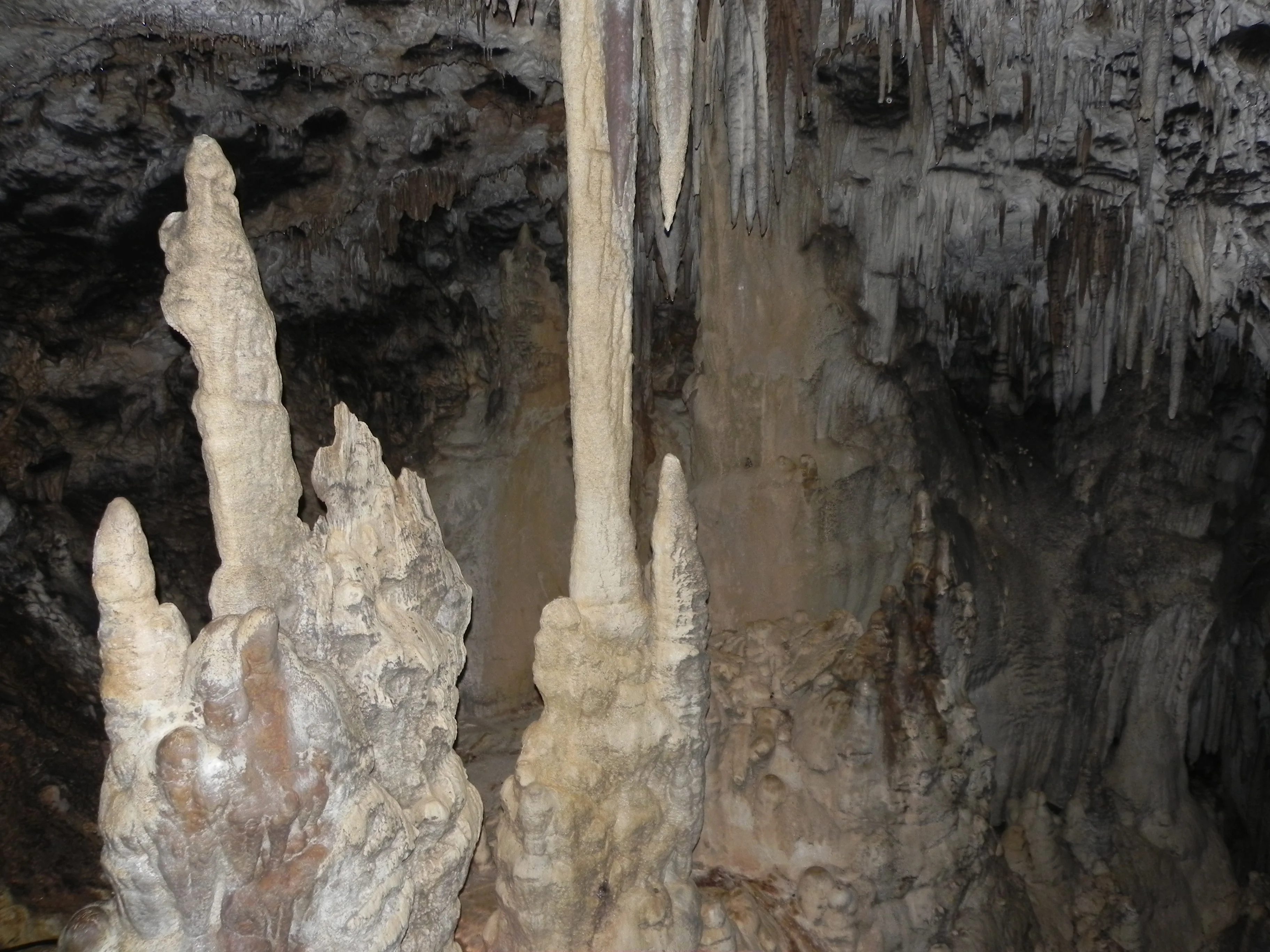 Кубань 2012 логонаки 271.webp