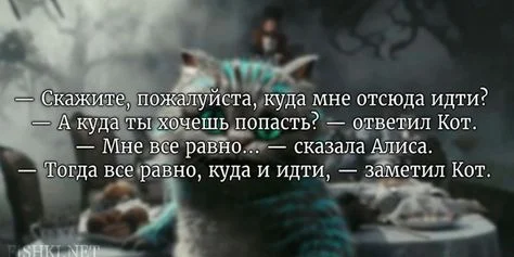 куда идти.webp