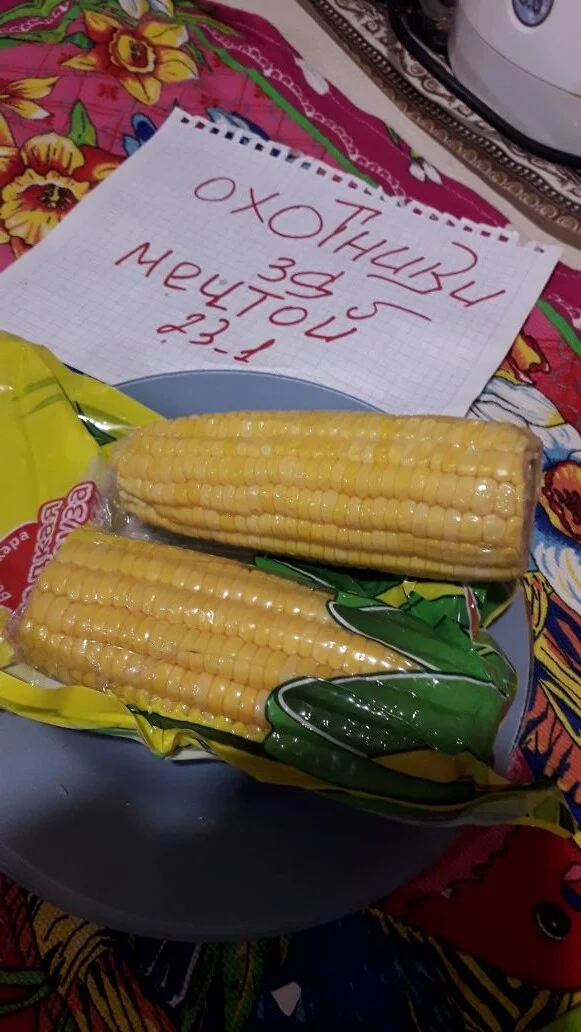 кукуруза.webp