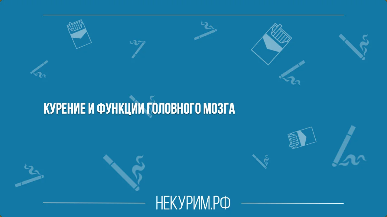 Курение и функции головного мозга.webp