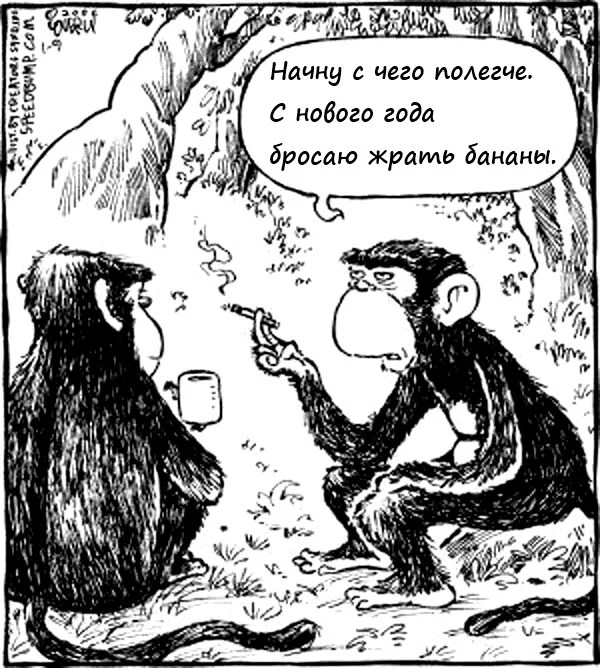 курение-обезьяны-бананы-сигарета-522243.webp