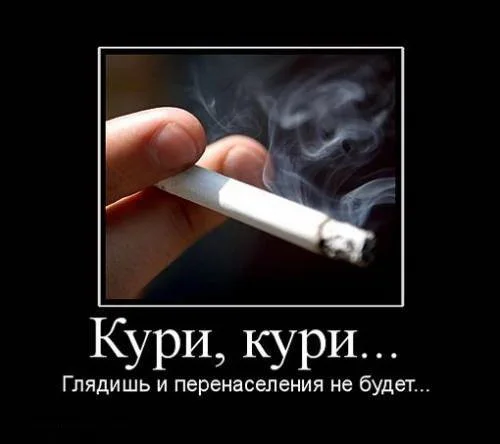 Курение.webp