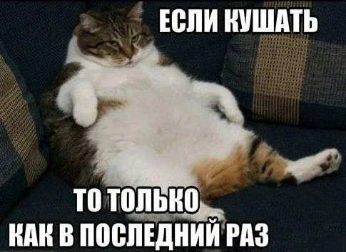 kushat-kak-v-poslednii-raz-mem.webp