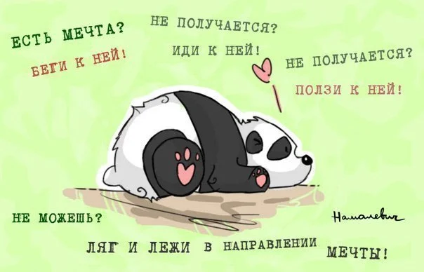 kvsYA8O4GdQ.webp