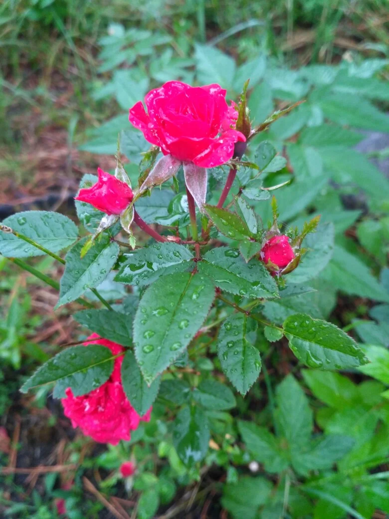 kvtBd2u1p4k.webp kvtBd2u1p4k.webp