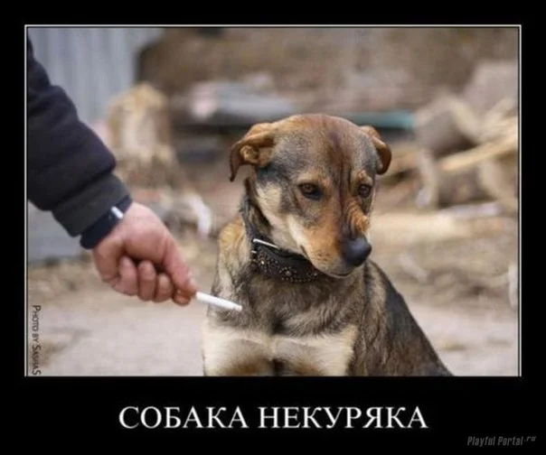 Kvw_ft31IHo.webp