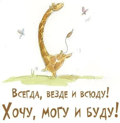 KXwLbn6dihY.webp