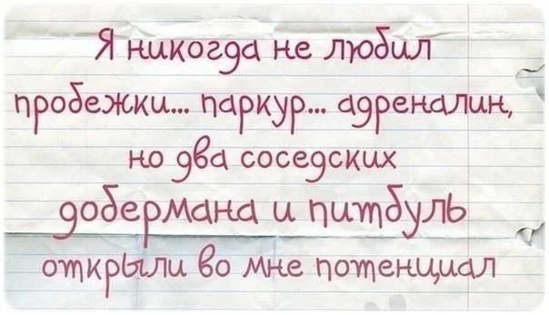 L02r16ZV1EA.webp