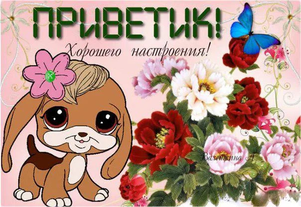 l_5732-otkritki-Otkritka-kartinka-privet-privetik-horoshego-nastroeniya.webp