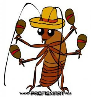 ла кукарача.webp