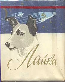 laika.webp