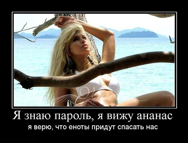 large_1298012894_ya-znayu-parol-ya-vizhu-ananas.webp