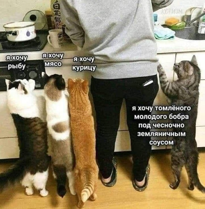 LaZrHP2Oy_U.jpg