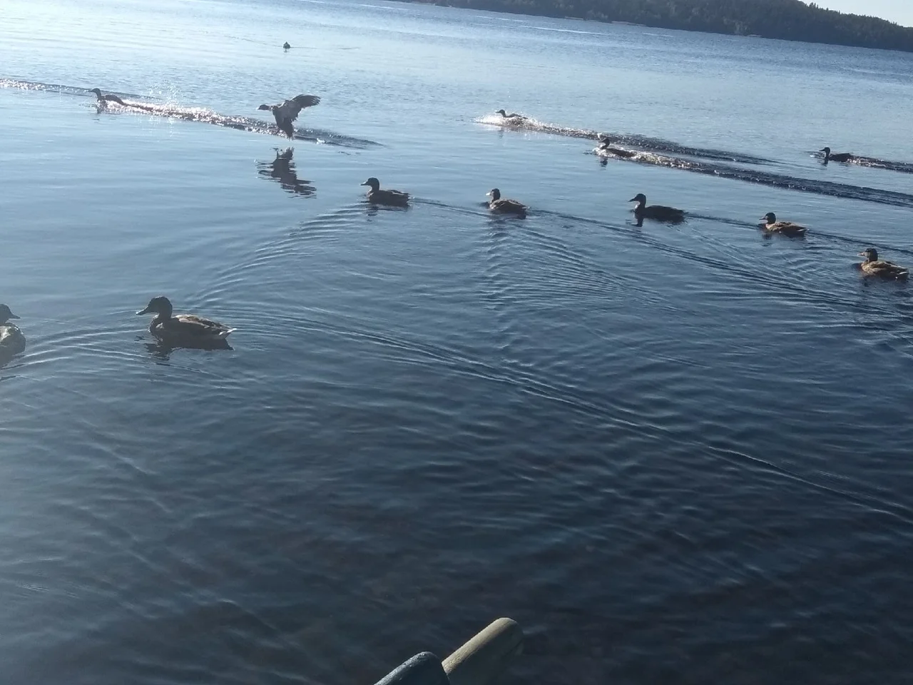 lBvXFegKX-E (1).webp