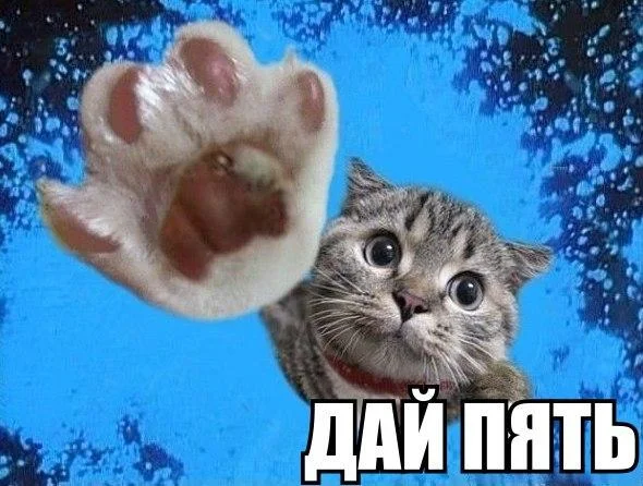 LDbojUiQMQw.webp