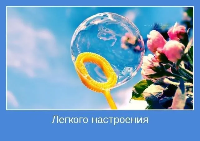легкое утро.webp