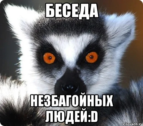 lemur_28379861_orig_.webp