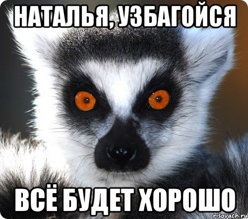 lemur_45483037_orig_.jpeg