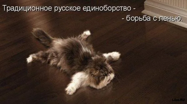 лень.webp