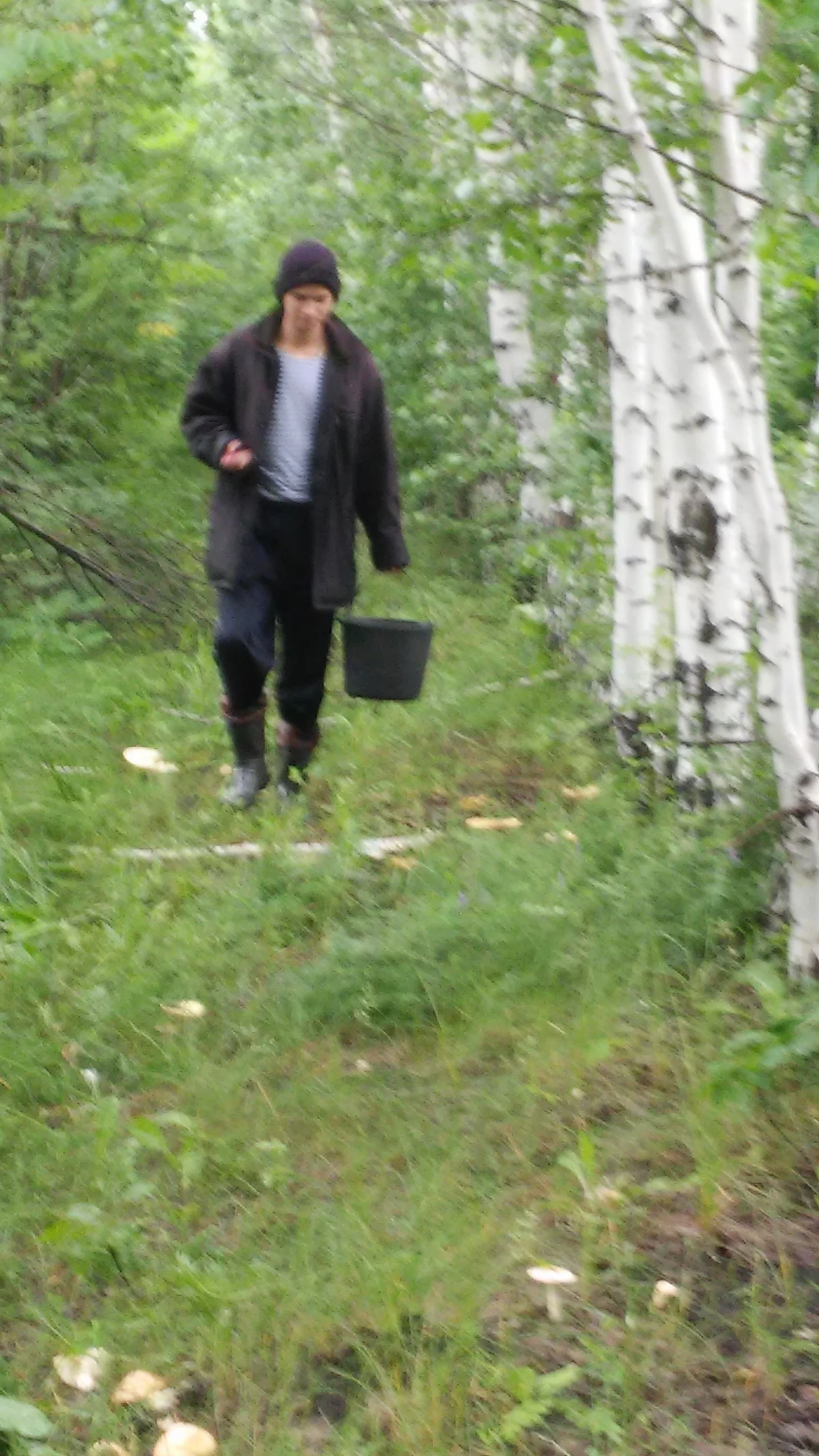 лес 14.06 (21).webp