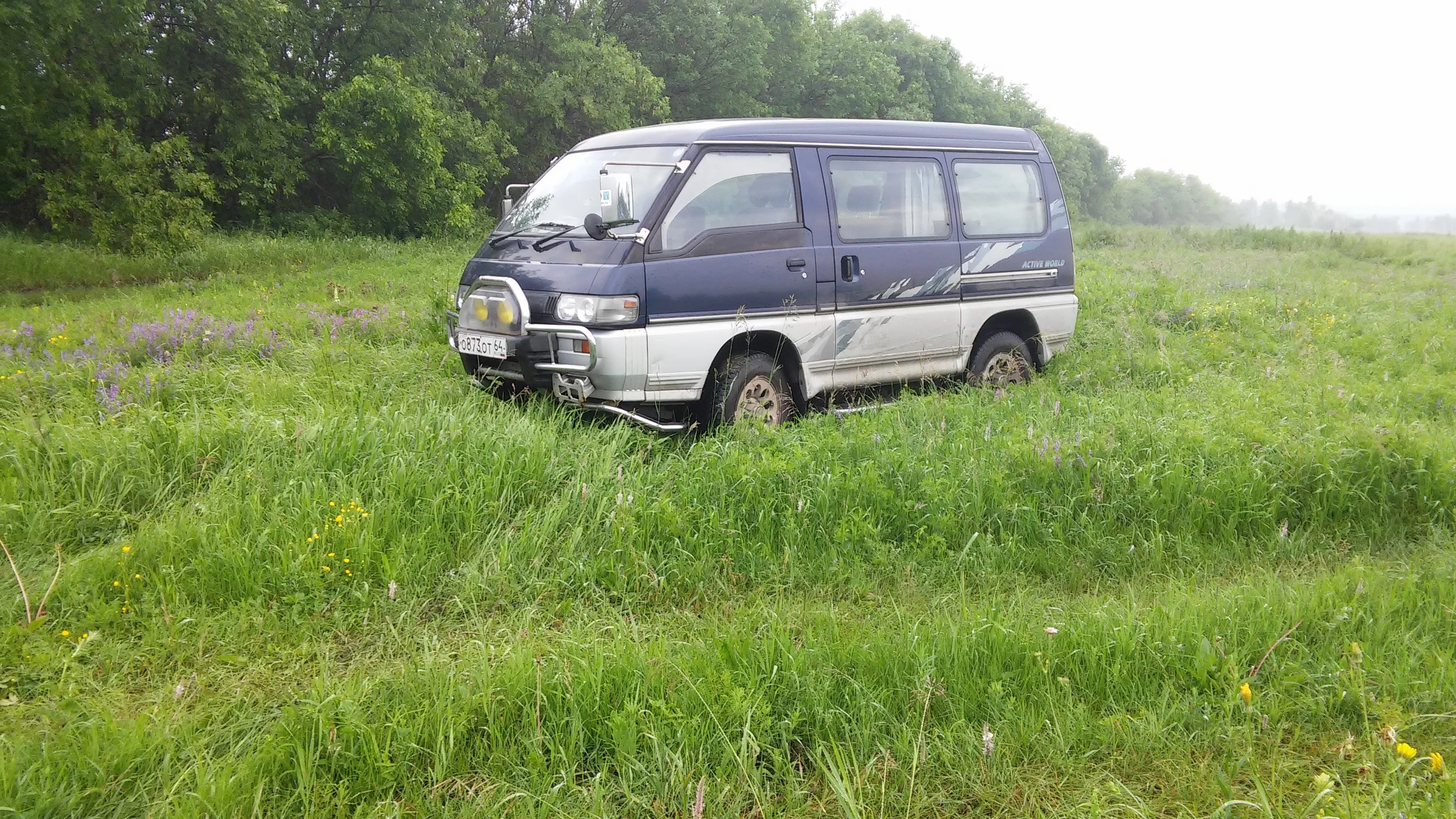 лес 14.06 (7).webp