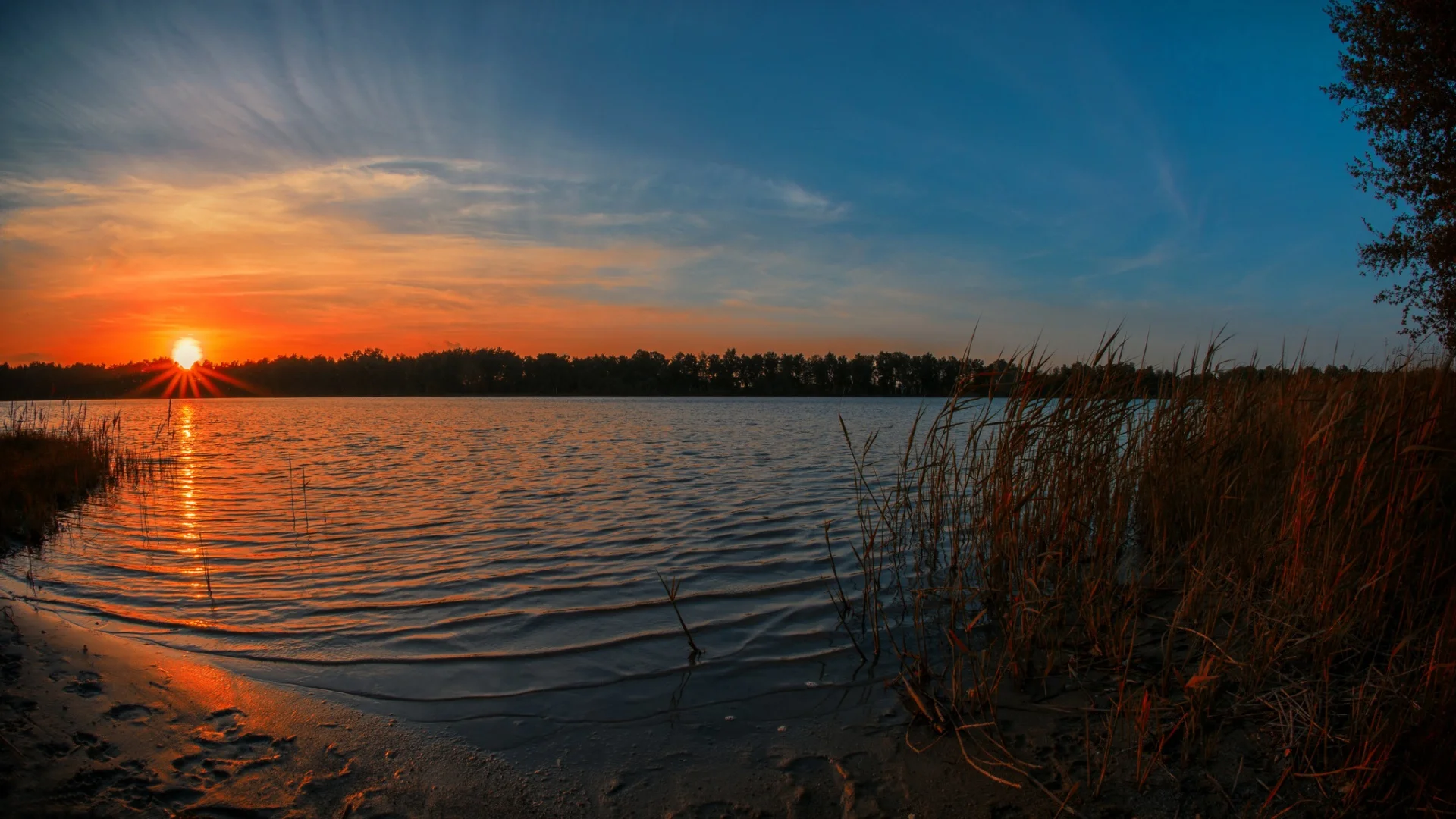 les-ozero-kamysh-solnce-utro (1).webp