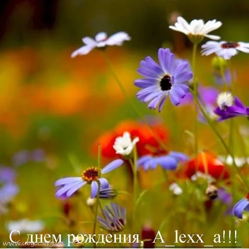 летнее2.webp
