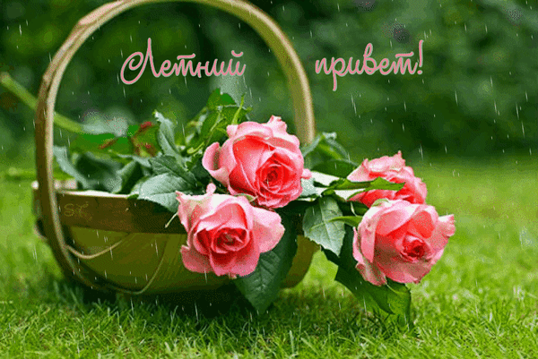 letnij-privet.gif