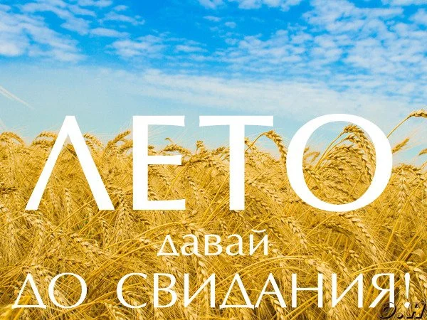 leto-davaj-do-svidaniya.webp