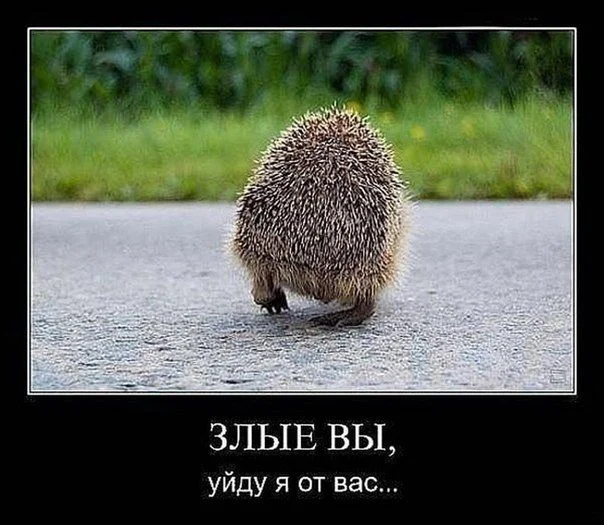 lfqPsQ_Oc8k.webp