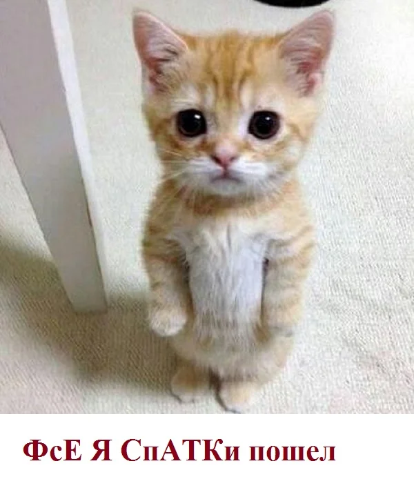 ли вест-01.webp