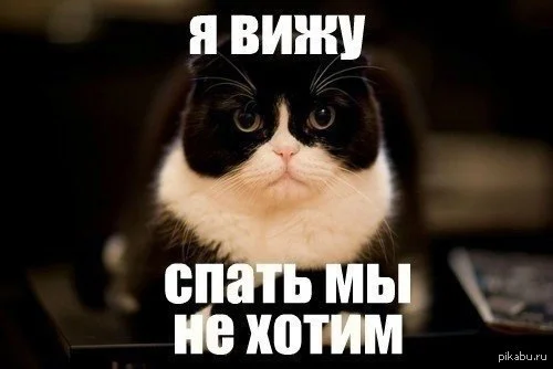 ли вест-01.webp