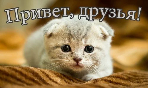 ли вест-01.webp