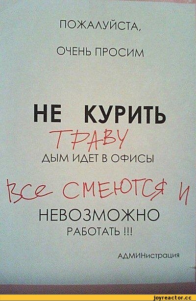 личное-объявление-офис-ганджубас-122752.jpeg