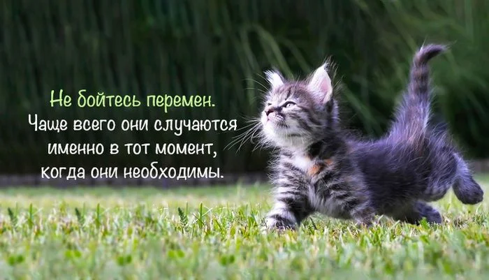 lifechange.webp