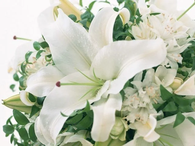 liliya.webp