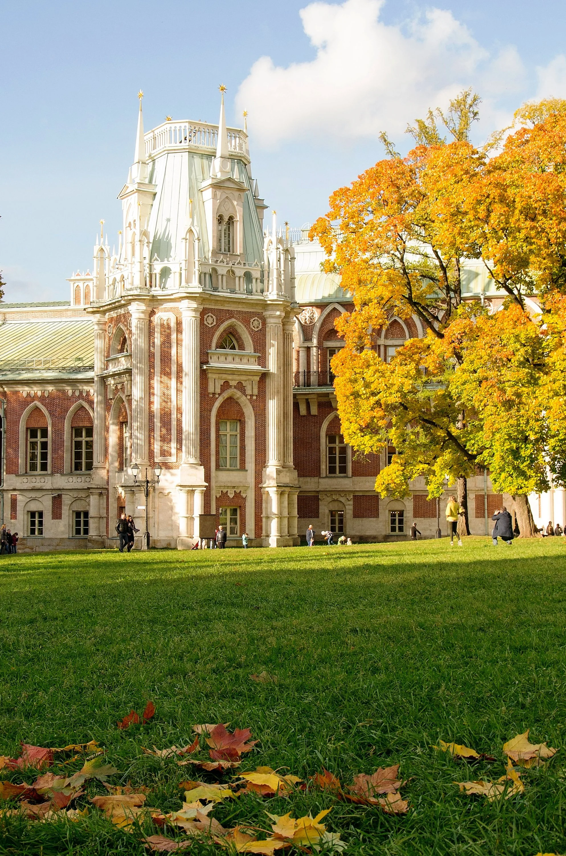 Листья (1 из 1).webp